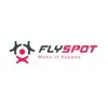 Flyspot